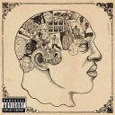The Roots