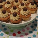 Cupcakes08